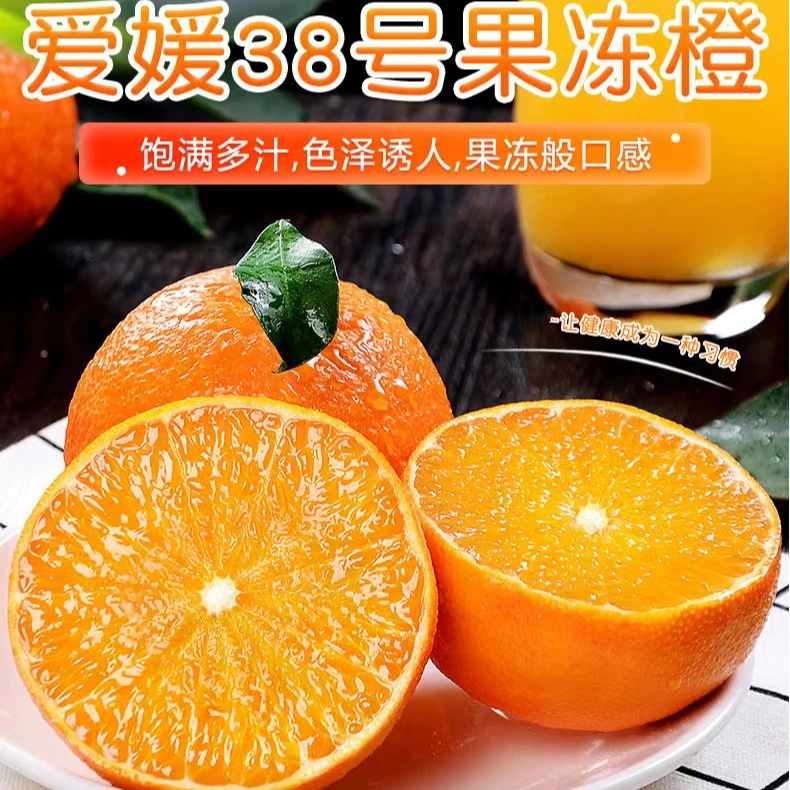 【坏果包赔】爱媛果冻橙四川眉山新鲜水果2-8斤装现摘现发产地直供
