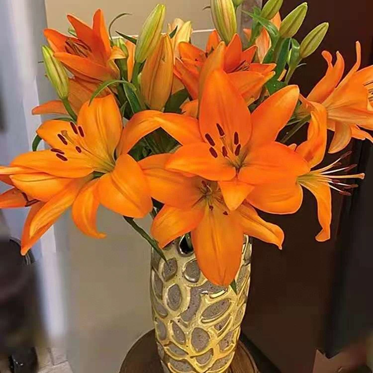 金百合小花形橙色亚州百合鲜花基地直发花卉家用真花新鲜家庭