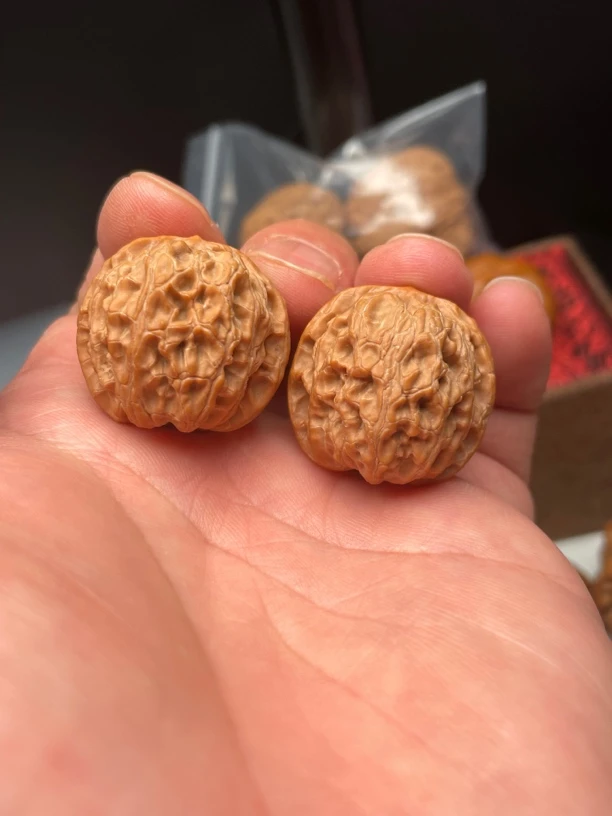 文玩核桃苹果园狮子头