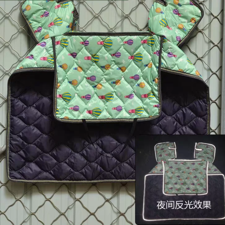 卡通动画电动车挡风防风科学