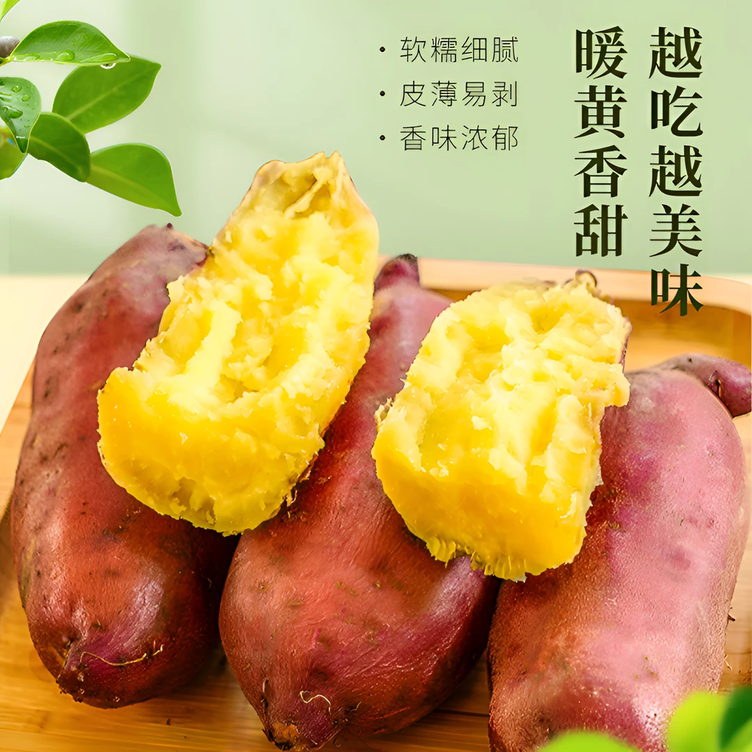蜜糖红薯云南高山超甜香甜软糯烤出琥珀色产地直发