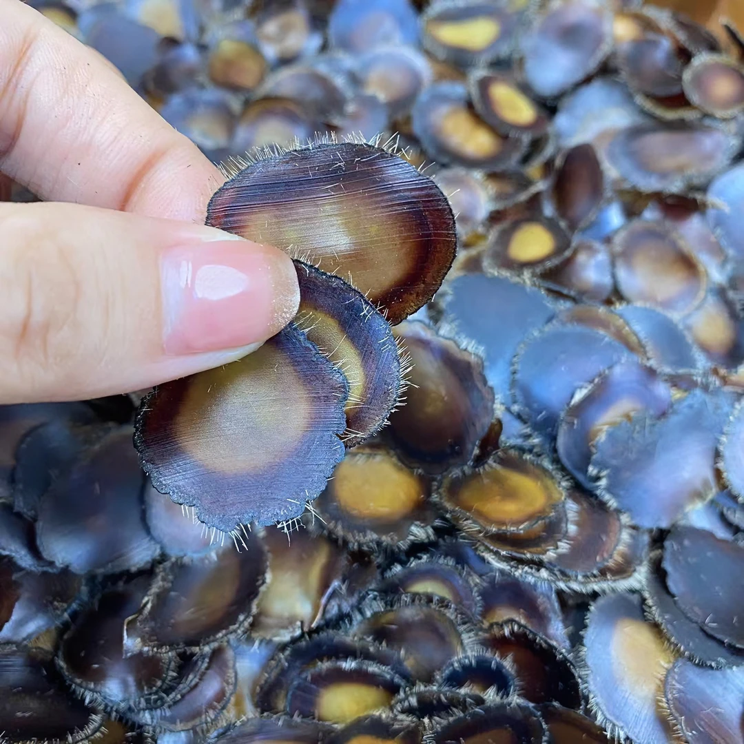 鹿茸片 正品毛桃茸净腊全蜡片1克有6片泡水泡茶好