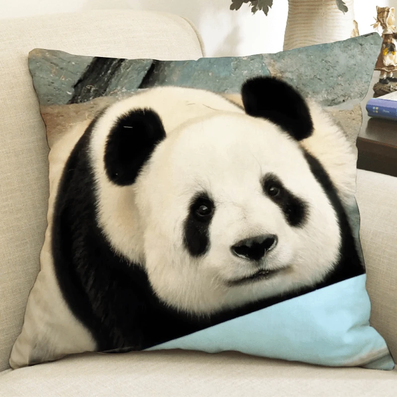 大熊猫飞云周边抱枕玩偶双面车载靠垫宿舍定制学生礼物垫枕可拆洗