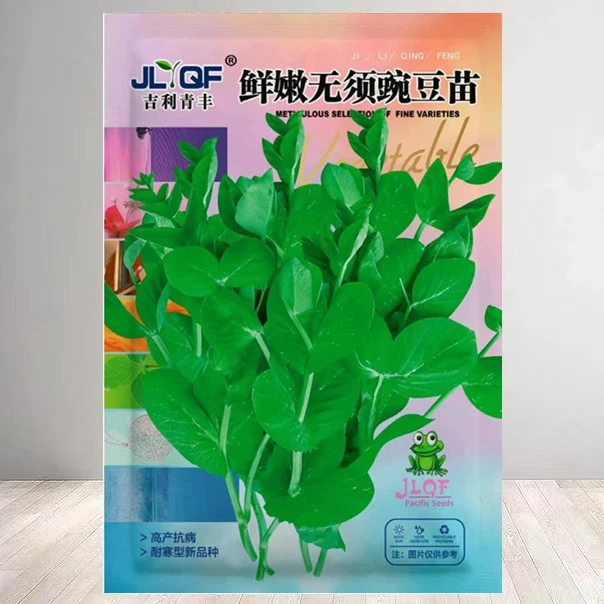 【13】无须豌豆苗种子鲜嫩发芽快速