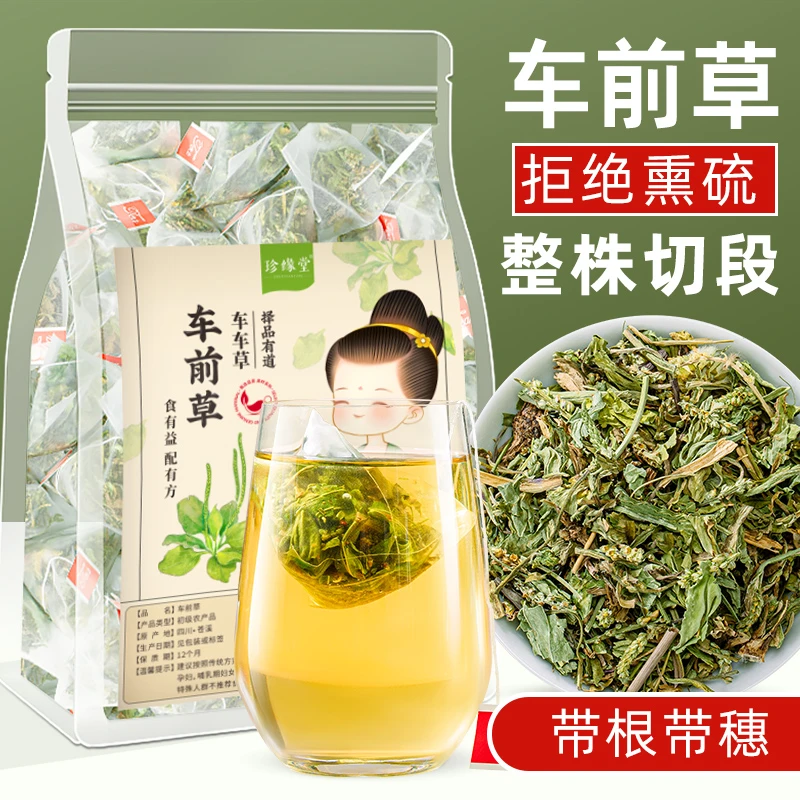 珍缘堂车前草袋装干货茶包正宗官方正品可搭配夏枯草蒲公英