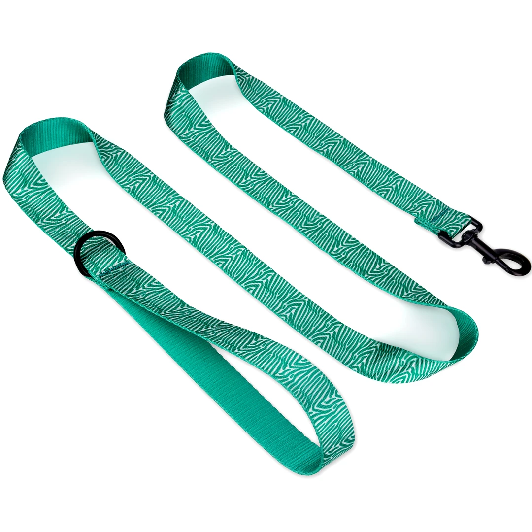 Everclaw宠物牵引夏日花纹狗狗牵引绳套装多彩