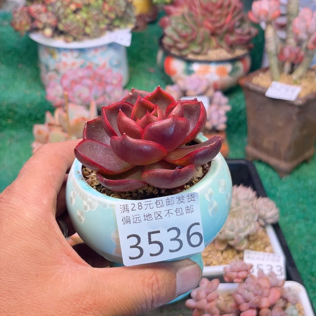 大3536h j j j k k k k k k j