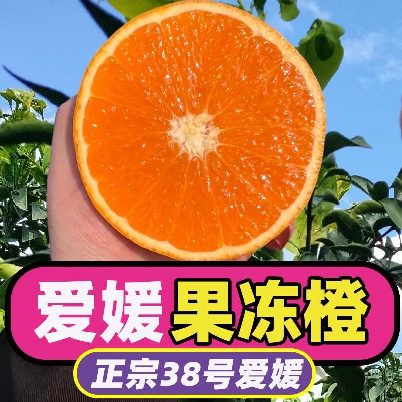 【薽选精品】正宗四川爱媛38号果冻橙橙香甜多汁现摘新鲜水果皮薄..