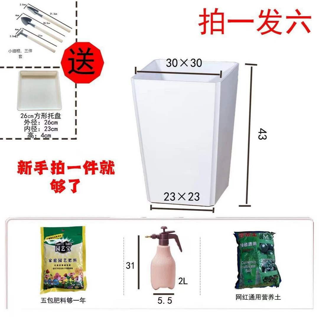 【新人养护专属】新人养护大礼便捷懒人专属绿植种植套装