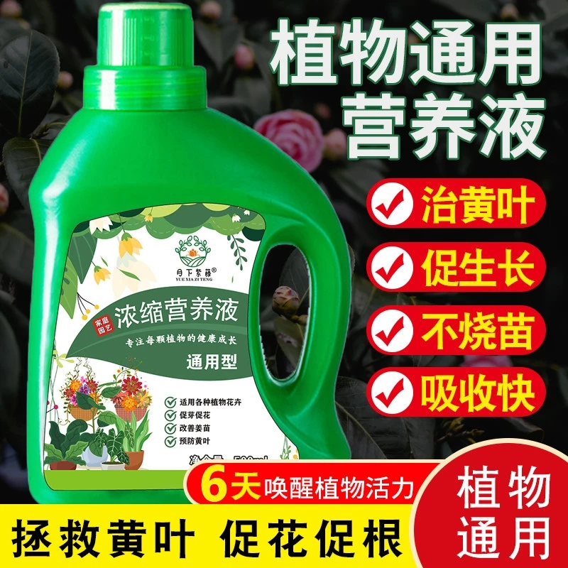 营养液植物通用型花肥发财树富贵竹绿萝水培盆栽家用花卉绿植肥料