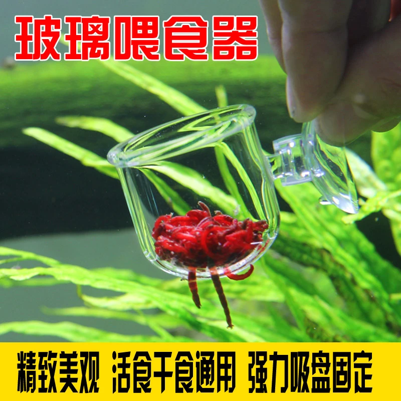 玻璃红虫喂食器鱼缸投食圈冻丰年虾赤虫投喂鱼漂浮杯小型神器透明