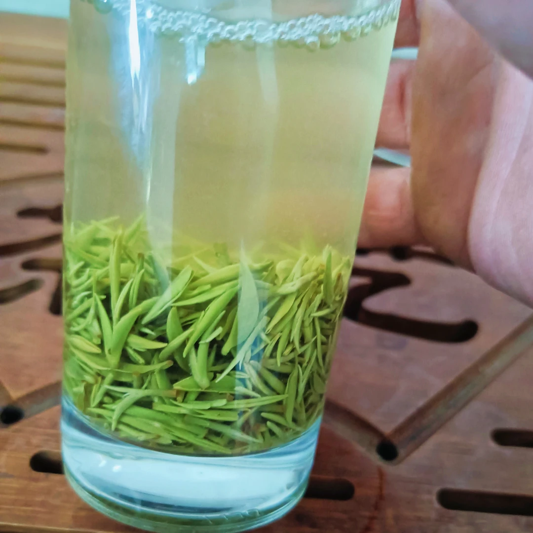 （头采明前小芽）2025年新茶信阳毛尖清香甘甜信阳市高山绿茶茶叶