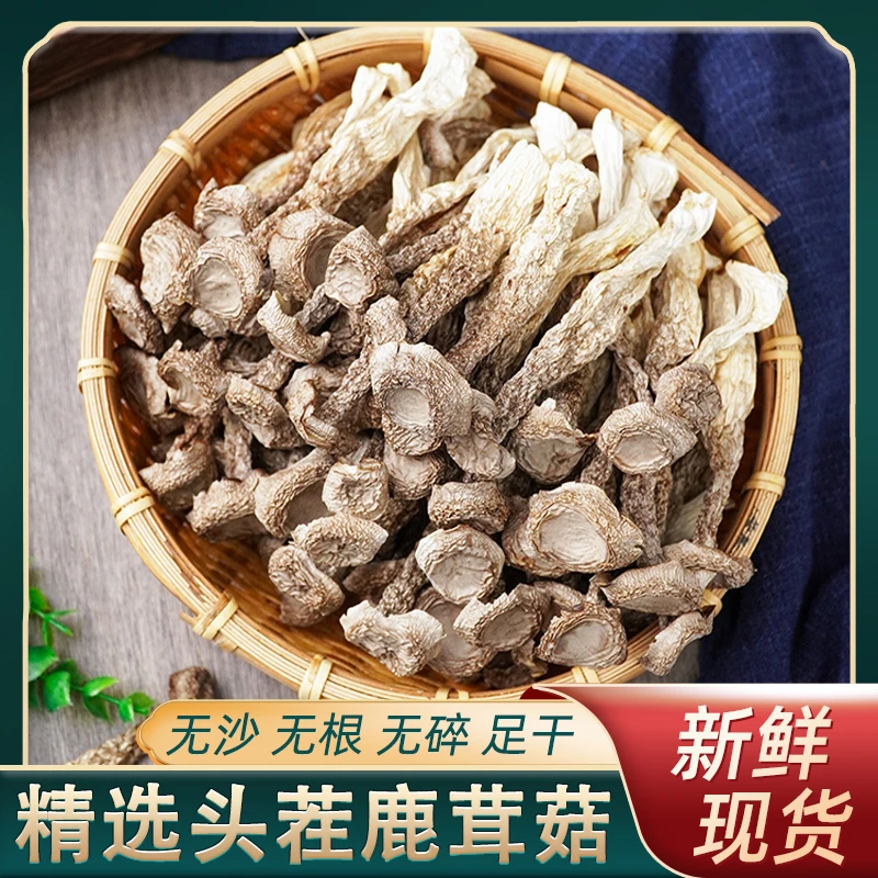 【新货】当季鹿茸菇土特产营养食用菌菇高品质新鲜干货煲汤炒菜佳品