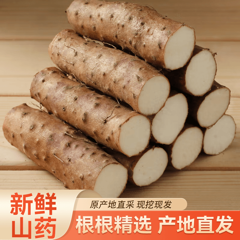 蠡县特产新货实惠好吃的小白嘴麻山药新鲜产地发货