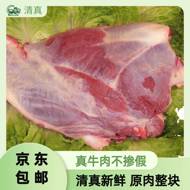 秦川黄牛-信宇-牛腿