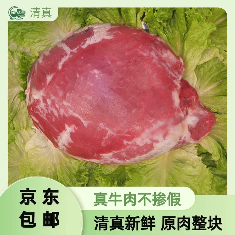 秦川黄牛-信宇-牛霖