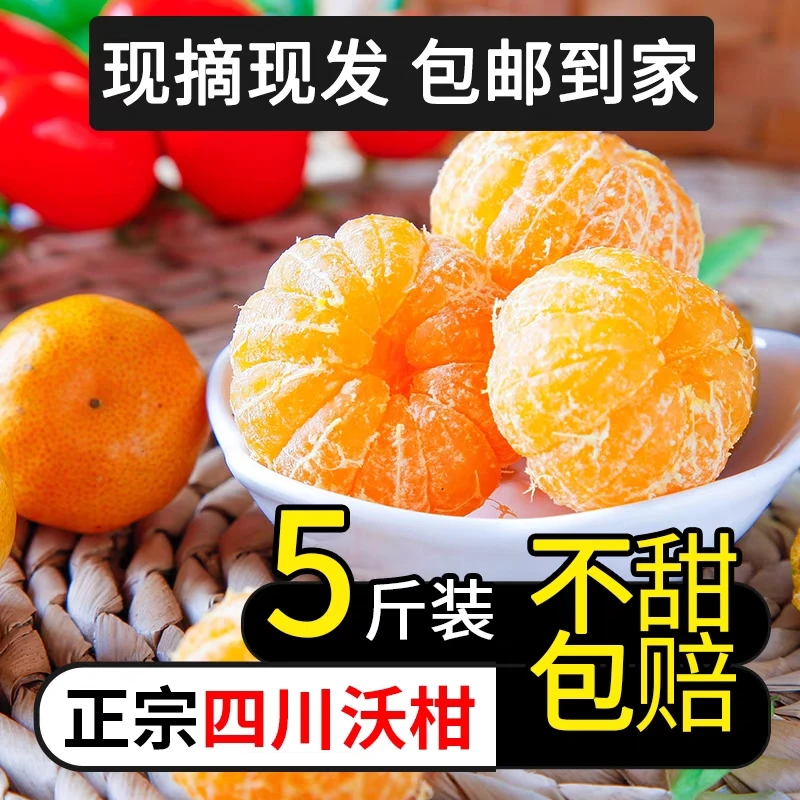 四川炫蜜QQ柑晚熟沃柑新鲜水果橘子纯甜化渣少核5斤中果装肉质鲜