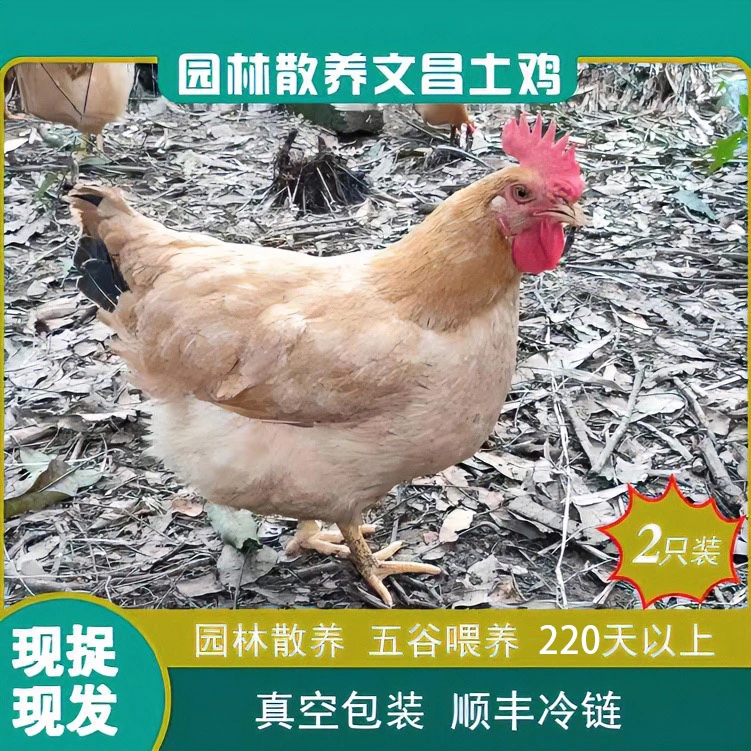 【2只装】生态园林五谷散养地道土鸡230天毛重7斤以上