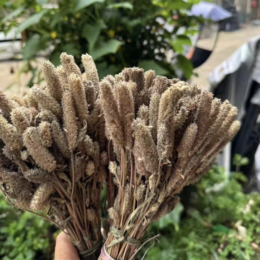 贵州木姜花毛姑花辣椒蘸水里面香料烩酸菜蘸菜豆腐专用