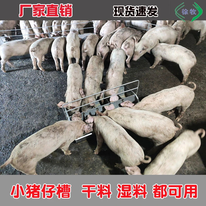 猪食槽小猪料槽不锈钢通槽自动采食补料槽猪食槽格子耐用厂家直供