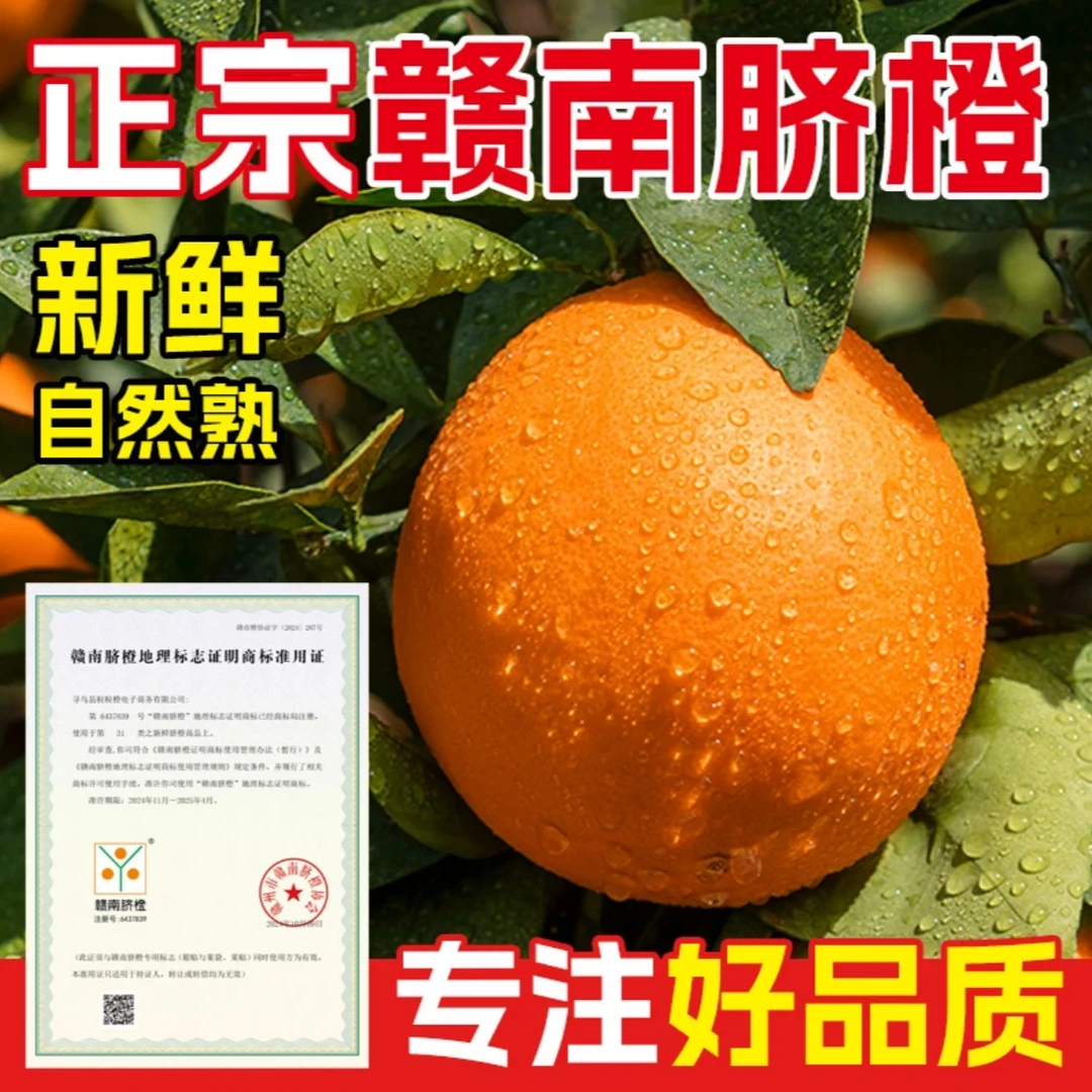 【坏果包赔】姐妹花家江西赣南正宗脐橙自家果园现摘现发