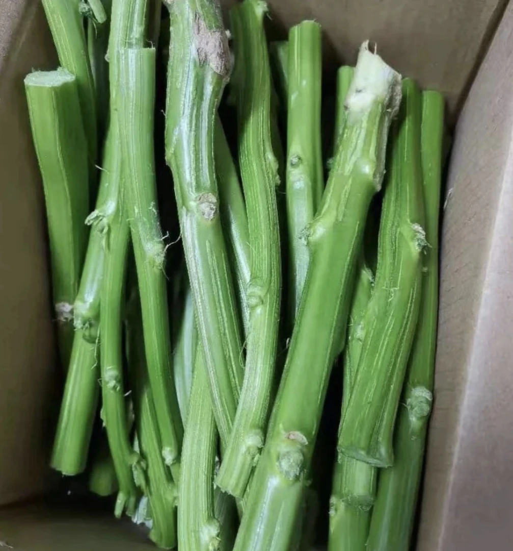 家乡（野生苋菜杆）腌制臭豆腐 腌制使用 香 5斤包邮 河南周口