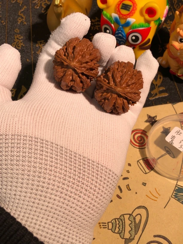 东北楸子双龙杯精对儿以打底