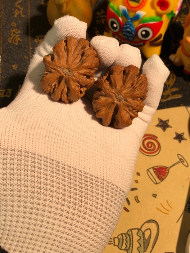 东北野生楸子双龙杯白茬