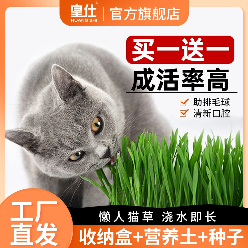皇仕营养种子猫零食化毛膏水培营养盆栽土壤种籽种植套装