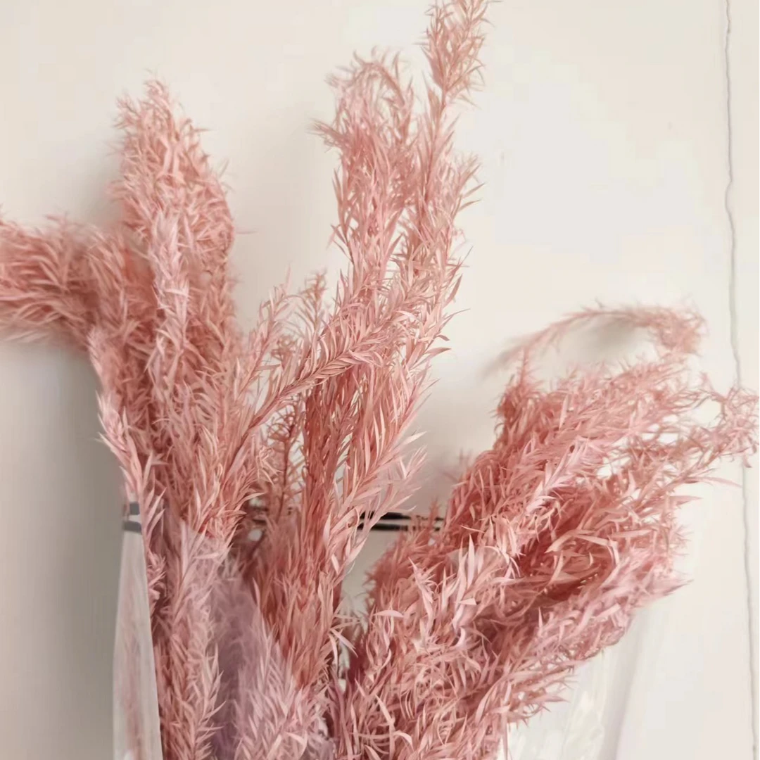 千层金永生花保鲜花森系婚庆布置节情人节风干花束真花永生花花材