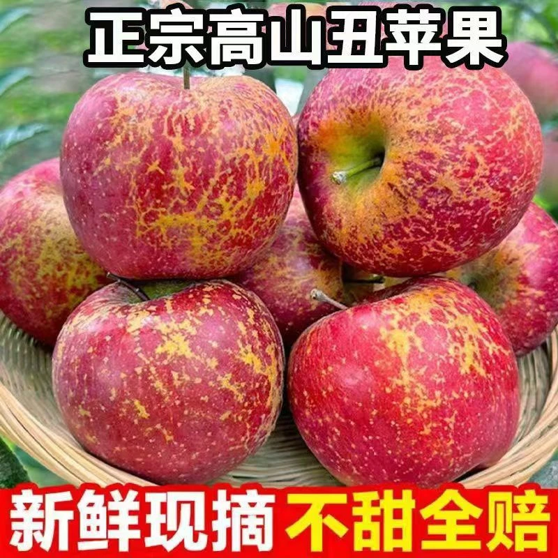 2024大苹果123123132132