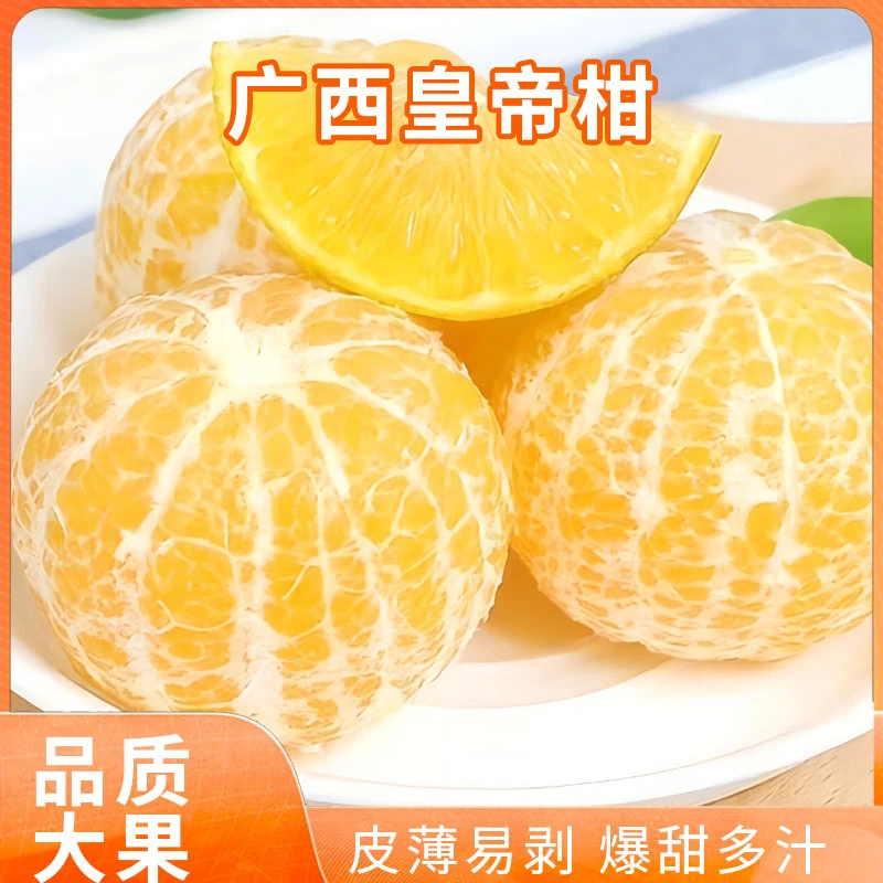 广西皇帝柑正宗武鸣皇帝柑5斤成熟采摘新鲜农产品清甜皮薄多汁