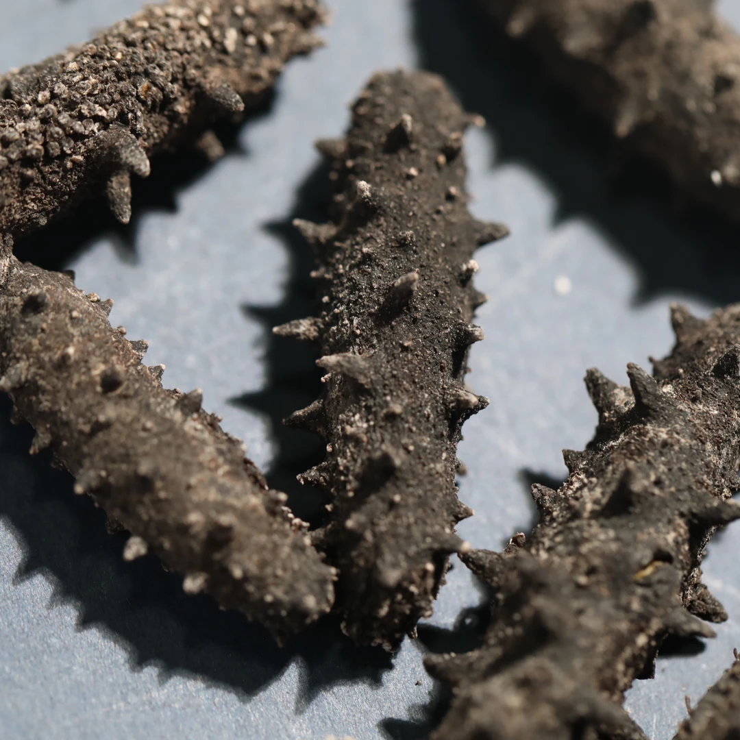 精挑《大霸王》国标淡干海参40-50头 顺丰包邮