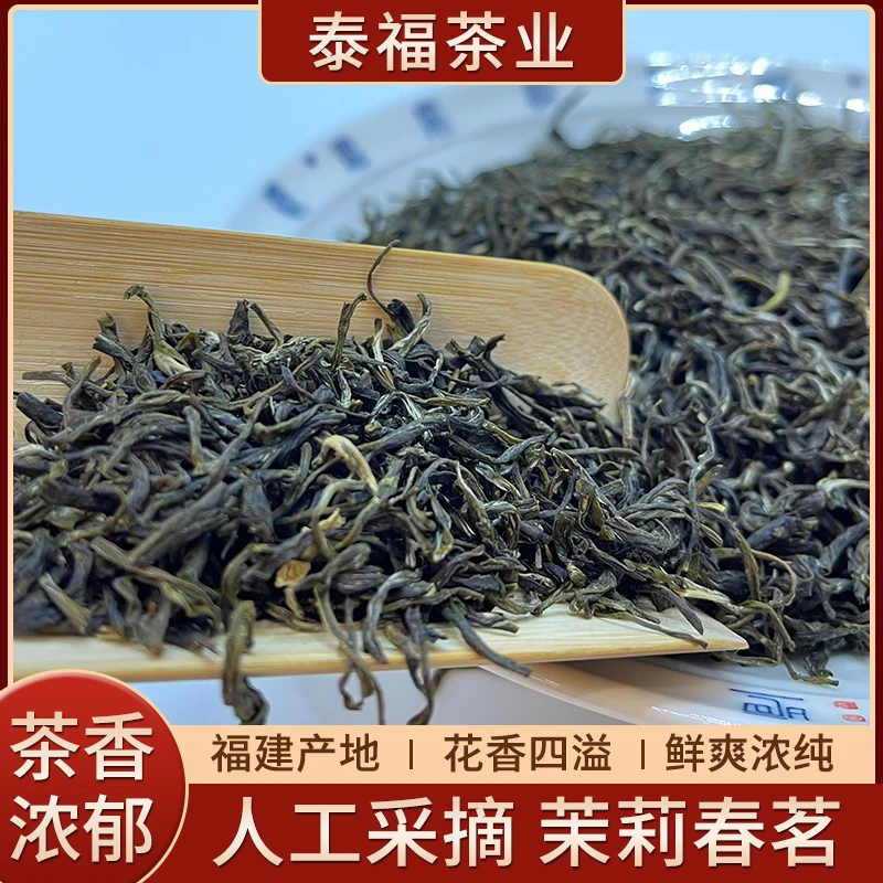 《茉莉春茗》非遗茉莉花茶福建福鼎小叶茉莉花茶浓香耐泡醇厚