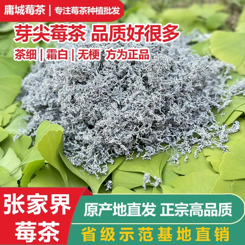 瑜峮堂张家界特级芽尖莓茶高山龙须藤茶恩施永顺原产地养生茶叶