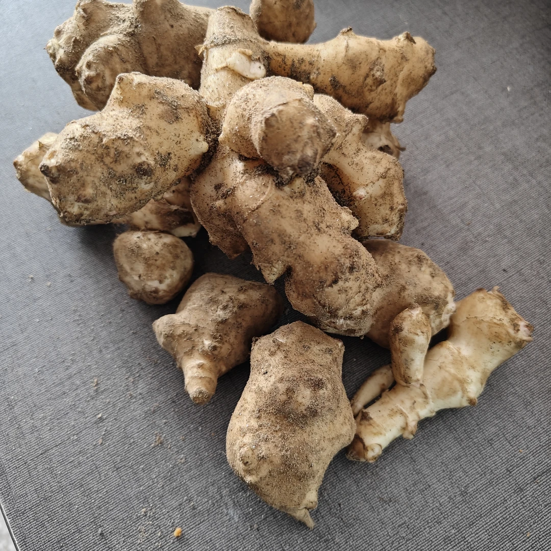 公益助农鲜洋姜5斤鬼子姜不辣腌制酱菜腌菜甜泡菜用阳姜菊芋鲜姜