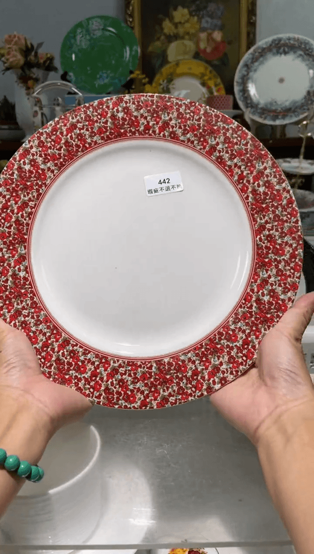 【闪购商品】瓷片陶瓷尾单A442重瑕1个