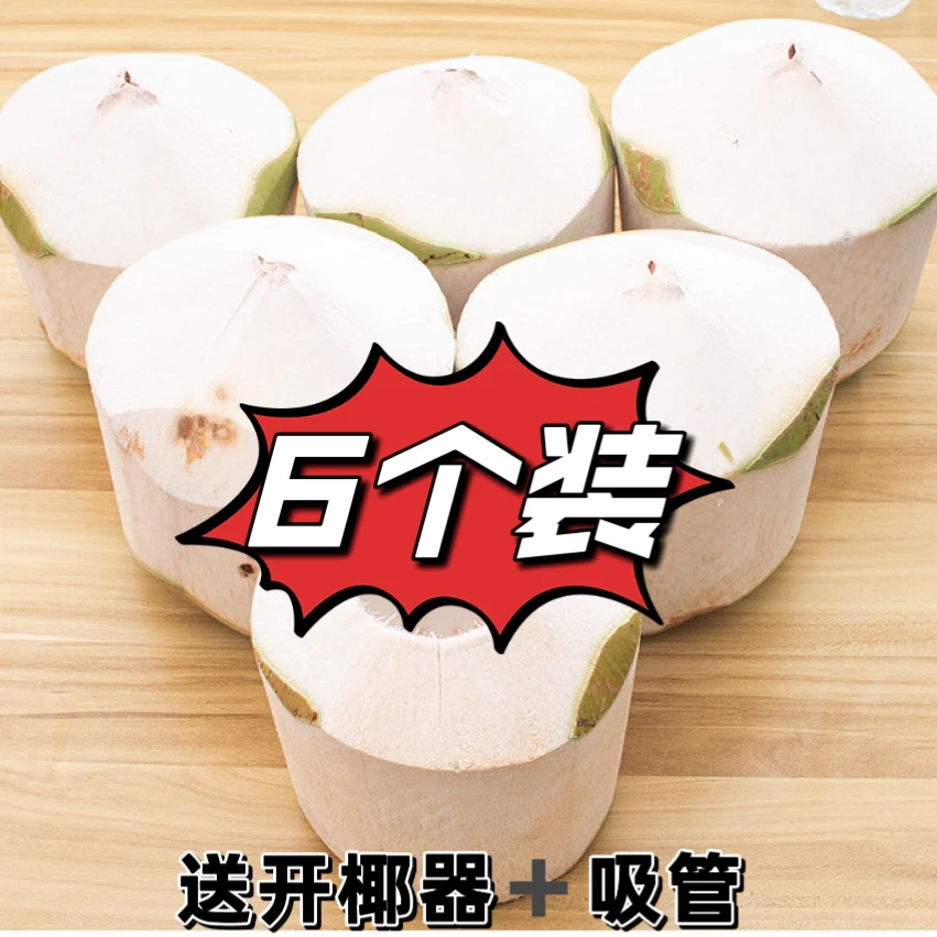 【精品6个大果】正宗海南文昌产地椰子2.5斤大果椰青新鲜孕妈妈水果