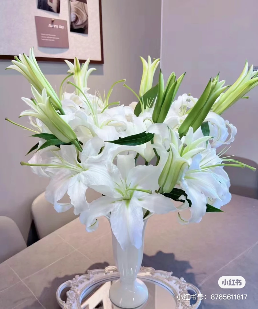 【胖虎花卉】西伯利亚百合 全场两单免费升级空运