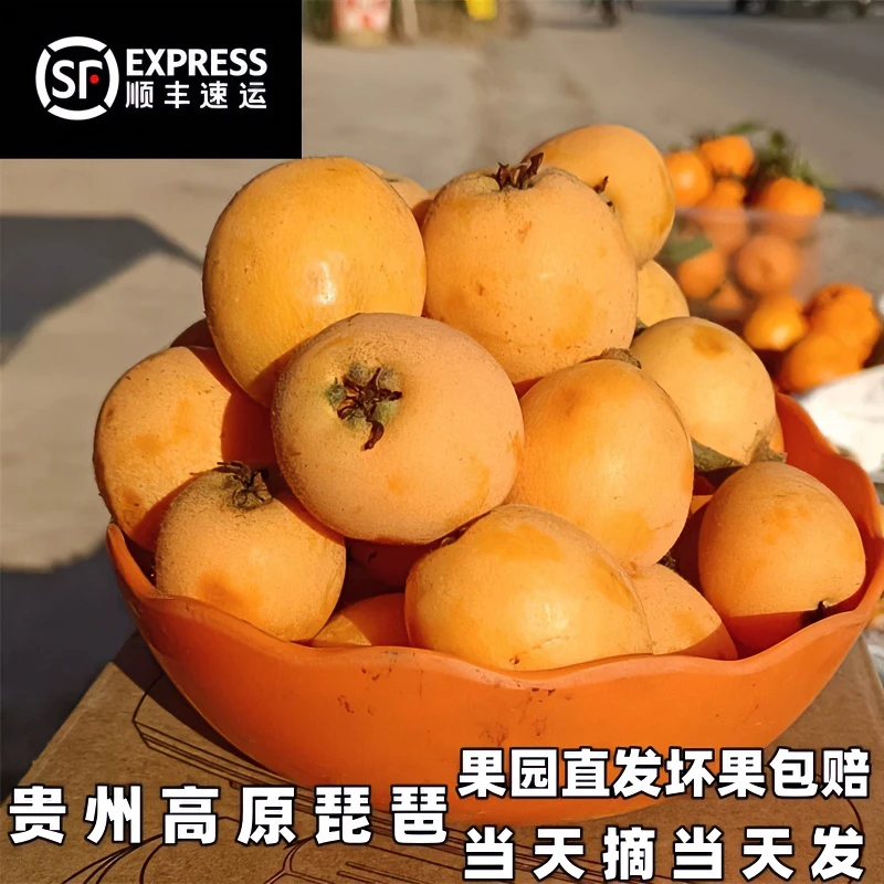 贵州新鲜高山枇杷香甜皮薄汁水多汁当日采摘爽口成熟3/5斤