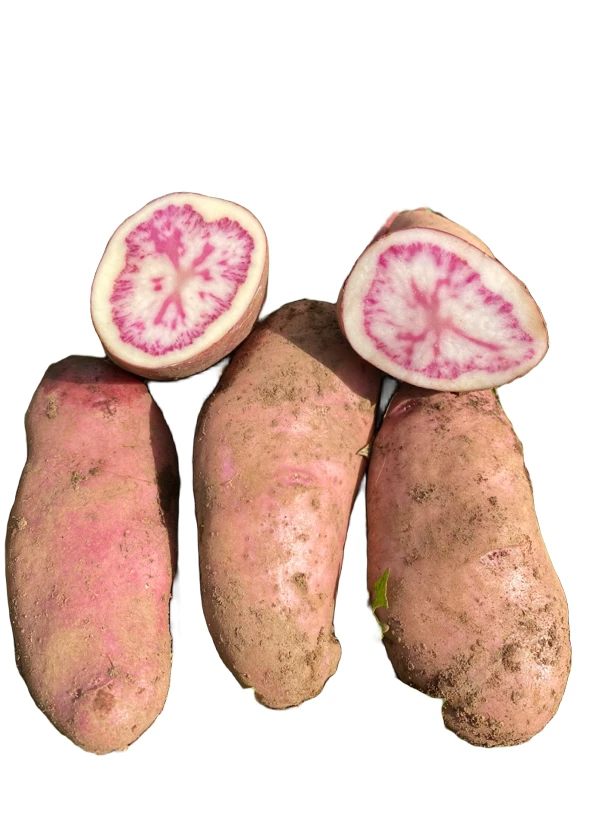 云南新鲜农家肥种植皮薄饱满营养花心土豆清香8斤大/中果包邮