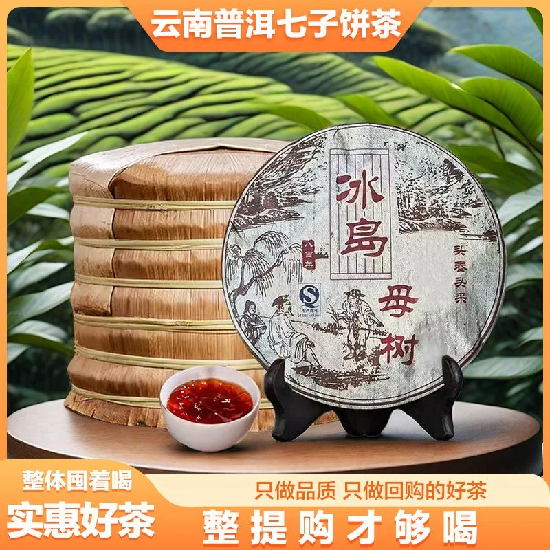 冰岛母树普洱茶熟茶七子饼茶云南古树茶叶自己喝特产级收藏茶饼l