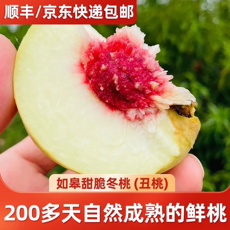 (冬桃丑桃硬桃鲜甜顺丰包邮）如皋本地冬桃4.5-5斤（约8-9个）
