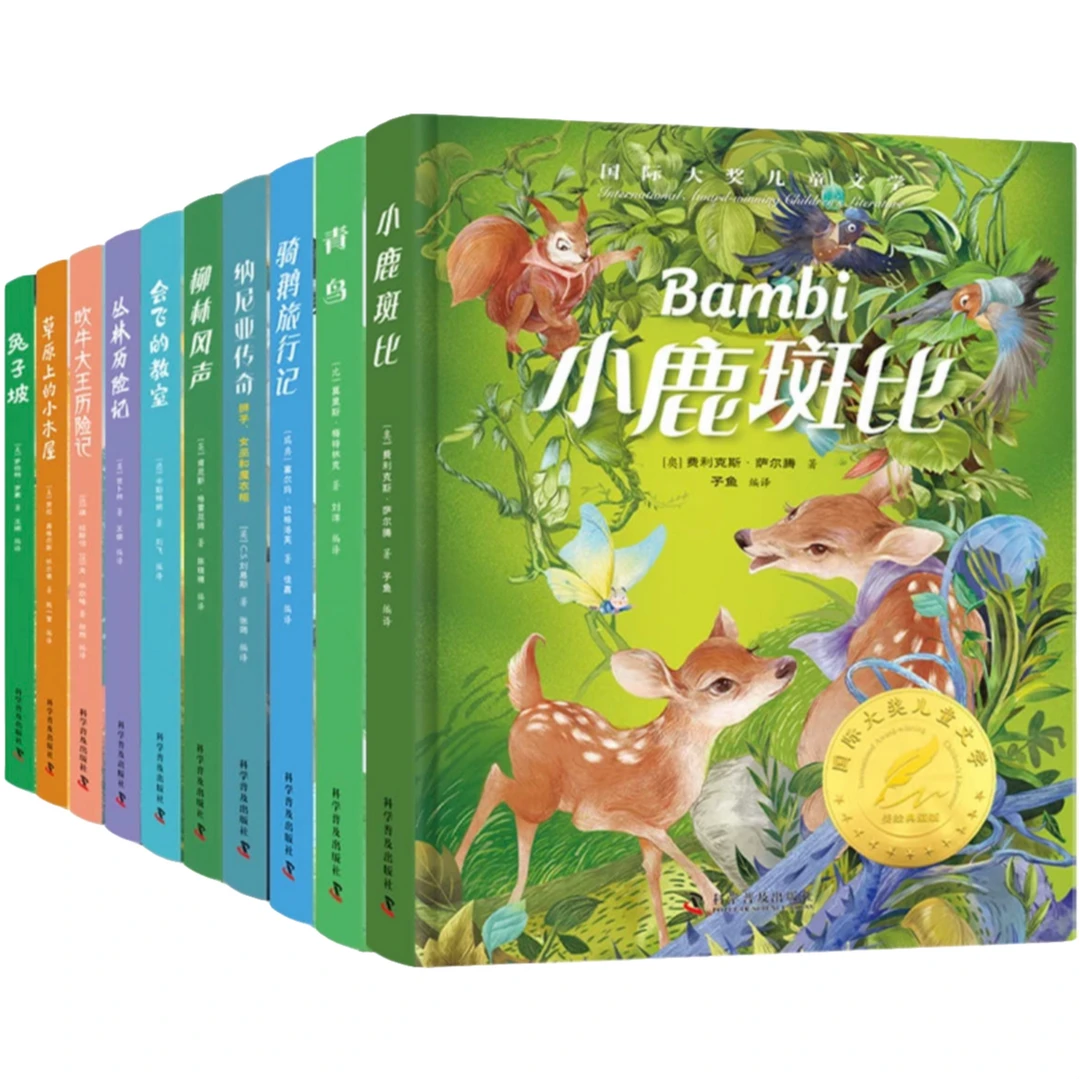 （微瑕）国际大奖小说7-12岁阅读提分 冲  9787110106013