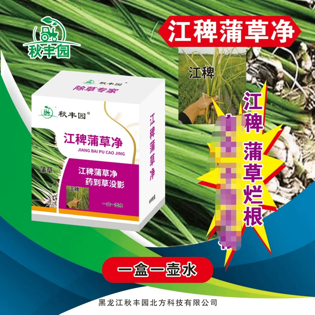 （秋丰园）江稗蒲草净