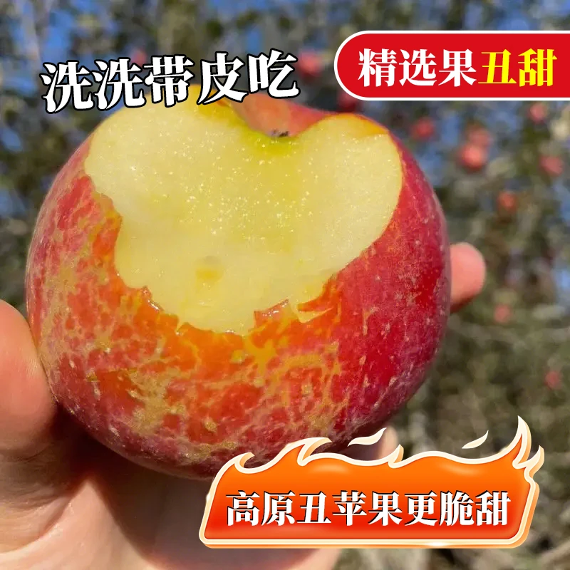 严选【正宗大凉山高山】大凉山盐源丑苹果现摘脆甜多汁新鲜当季水果