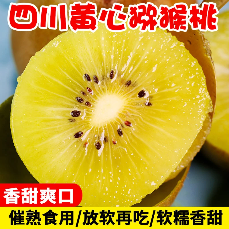 食用蒲江国产黄心奇异果猕猴桃新鲜孕妇水果现摘现发包邮售后无忧