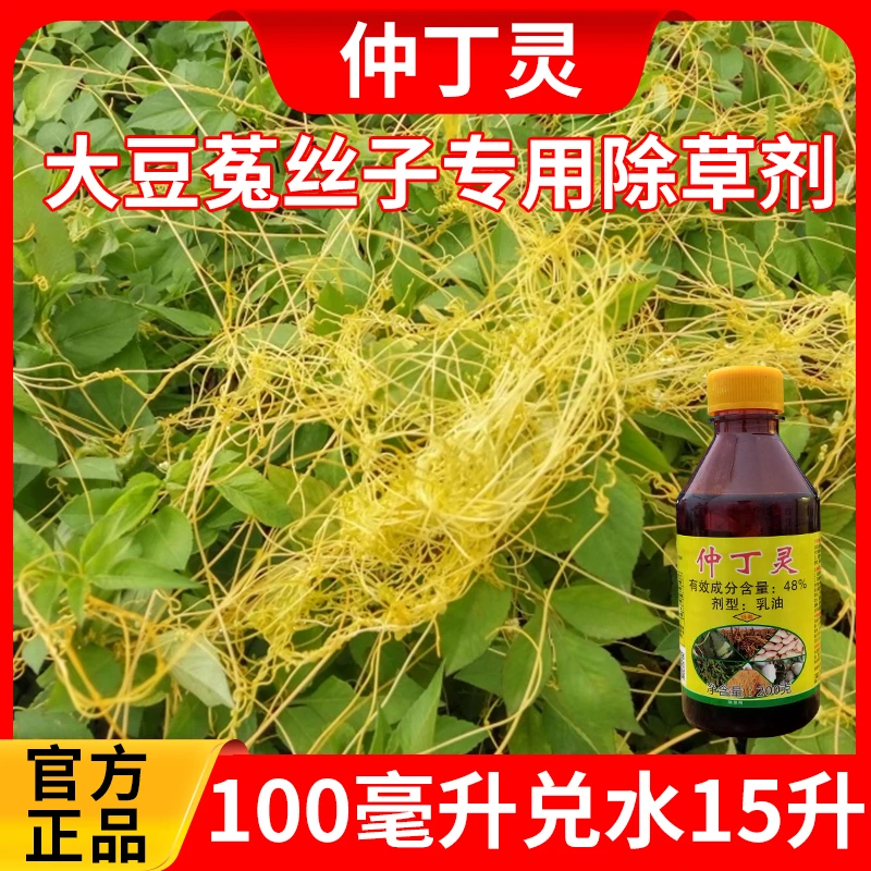 盾牌仲丁灵大豆黄杨石楠苗木绿篱菟丝子黄丝藤金丝藤专用除草剂药