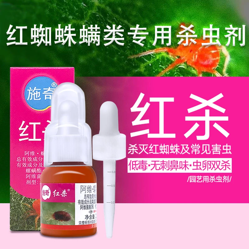 国光施奇红杀红蜘蛛螨虫叶螨锈壁虱杀虫剂月季桂花多肉绣球杀螨剂