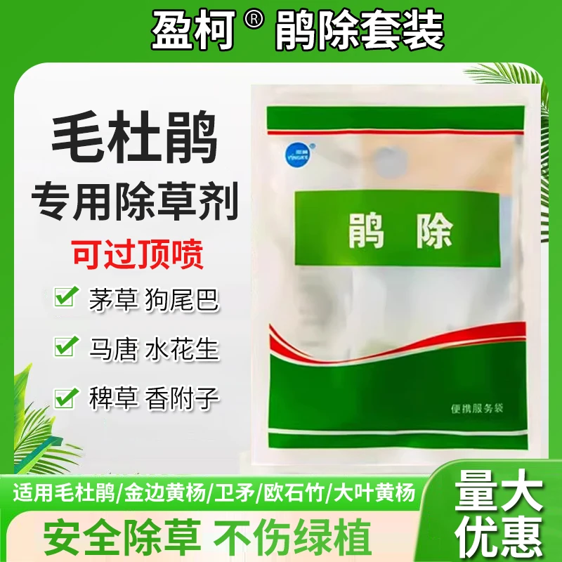 鹃除套装毛鹃娟专用欧石竹黄杨除草剂套装除阔叶草尖叶马唐狗尾草